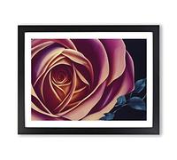 Legendary Rose Flower Framed Print | A2 Black Framed Wall Art | Ready to Hang | Modern Floral Picture | Living Room Bedroom Lounge Office