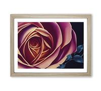 Legendary Rose Flower Framed Print | A2 Oak Framed Wall Art | Ready to Hang | Modern Floral Picture | Living Room Bedroom Lounge Office