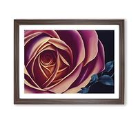 Legendary Rose Flower Framed Print | A2 Walnut Framed Wall Art | Ready to Hang | Modern Floral Picture | Living Room Bedroom Lounge Office
