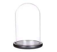 LegendTech Glass Display Dome Cloche with Black Wood Base (15 cmx30 cm)