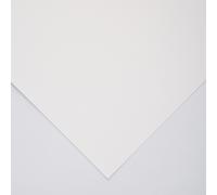 Legion : Art Coated Cover : Fine Art Paper : 270gsm : 20x26in : 1 Sheet