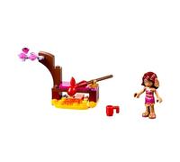 LEGO 30259 Elves Azari's Magic Fire Playset