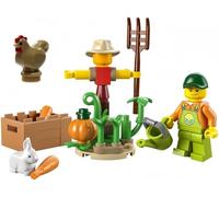 LEGO 30590 Farm Garden and Scarecrow and Brown Chicken