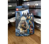 LEGO Harry Potter: Hogwarts Students Accessory Set: 40419 - Brand New & Sealed -