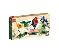 LEGO Birds Cuusoo Set