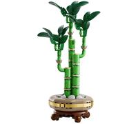 LEGO® Botanicals Lucky Bamboo Indoor Plant Decor, Gift for Women, Men and Nature Lovers 10344