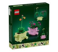LEGO Botanicals Rocking Plants 11506 F