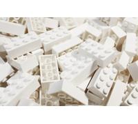 LEGO BRICKS 50 x WHITE 2x4 Pin - From New Sets Sent in a Clear Sealed Bag - 3001