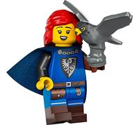 LEGO Collectable Minifigures Series 24 - Falconer with Stand and Accessories 71037 (Bagged)