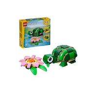 Turtle with a Water Lily Flower