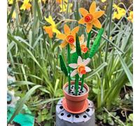 LEGO® 40747 Daffodils