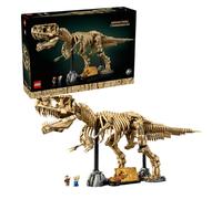 Dinosaur Fossils: Tyrannosaurus rex