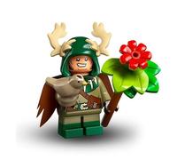 Lego Dungeons & Dragons Mini Figures Series: Halfling Druid (Half Druid) - DND Lego Figures Individually to Collect (71047)