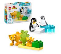 LEGO DUPLO Wild Animal Families: Penguins & Lions 10442