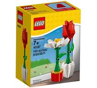 LEGO ROSE & DAISY 40187 - NEW/BOXED/SEALED