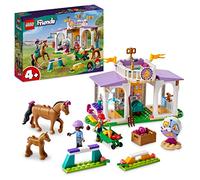 Lego Friends - Horse Training 41746