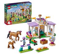 LEGO Friends Horse Training Set with Toy Pony