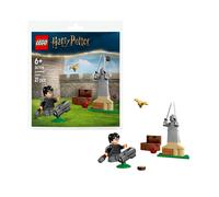 LEGO Harry Potter Quidditch Lesson Polybag 30706