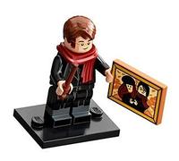LEGO 71028 Harry Potter Minifigures Series 2 (One Supplied)
