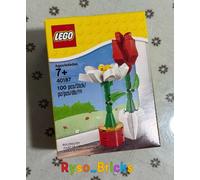 LEGO Iconic: Lego Flower Display (40187) New & Sealed！