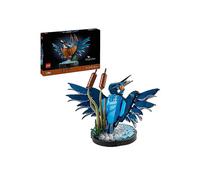 Kingfisher Bird