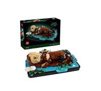 LEGO Ideas Floating Sea Otters - Building Set for Adults - 3D Display Model w/Otter & Pup Animal Figures - DIY Shelf or Room Decor - Arts & Crafts Gift Idea - 21366