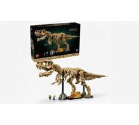 Dinosaur Fossils: Tyrannosaurus rex