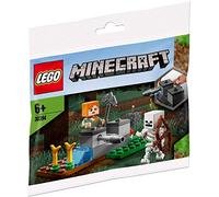 LEGO Minecraft The Skeleton Defense Polybag Set 30394 (Bagged)