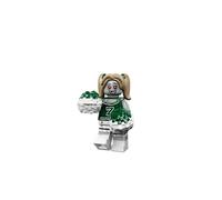 LEGO Minifigures Series 14 71010 new pick choose your own