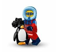 LEGO SERIES 16 MINIFIGURE ROGUE 71013