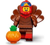 LEGO Minifigures Series 23 71034 new pick choose your own