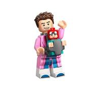 LEGO Minifigures Spiderman Across the Spider Verse Spider-Man and Mayday 71050 (Bagged)