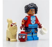 LEGO Minifigures Spiderman Across the Spider Verse Spider-Man India 71050 (Bagged)