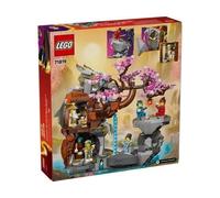 LEGO® NINJAGO 71819 Temple of the Dragon Brick