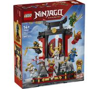 LEGO NINJAGO Ninja Character Display 15th Anniversary 71866