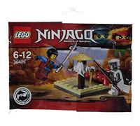 Lego Ninjago "CRU Master's Training Grounds" Polybag 30425