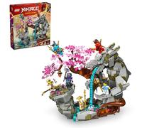 LEGO NINJAGO Dragon Stone Shrine, Build and Display Ninja Toy with 6 Ninja Action Figures, Advanced Building Ninja Kit, Birthday Gift Idea for Boys and Girls Ages 13 Years Old and Up, 71819