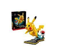 Pikachu and Poké Ball