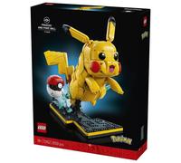 Pikachu and Poké Ball