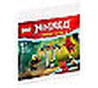 Lego Polybag Ninjago Battle in the Temple of Kai and Rapton 30650