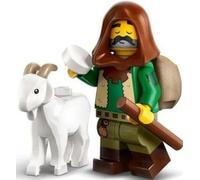 LEGO® Minifigures 71045 Series 25