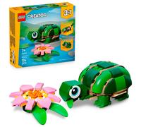 Turtle with a Water Lily Flower