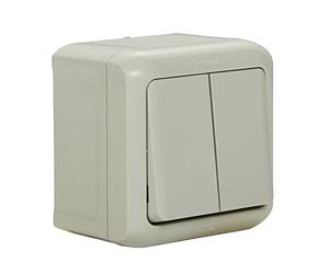 Legrand 782381 Surface-Mounted Double Toggle Switch Splash-proof (IP44) for Wall Mounting