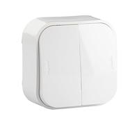 Legrand 782406 Light Switch, Wall, Double, White