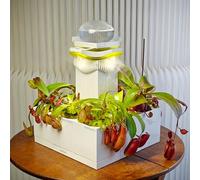 LeGrow Pitcher Plant Terrarium Kit - Nepenthes Carnivorous Plant Setup w/LED Grow Light & Humidifier - No Live Plant - Indoor Beginner-Friendly Gift for Plant Lovers