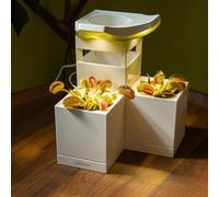 LeGrow Venus Indoor Fly Trap Planter, 50000lux with Timer, 7 Days Without Watering, Yellow