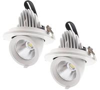 2pack Swivel Gimbal Downlight Retractable Eyeball Can Light 2.5in 3in 4in 5in 360° Rotation Recessed Disk Light 5W,10W,15W,25W Flush Mount Ceiling Lights