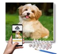 Lehaha Personalised Paint by Numbers for Adults, Professional Pet and Portrait Painting Kits, Customised Make Your Own Photo Canvas, Drawing Paintwork and Brushes(with Frame,40 x 50cm)