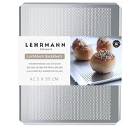 LEHRMANN Baking Tray 42.5 x 36 cm Baguette Tray Perforated Sheet Cake Tray Pizza Tray Compartible/Replacement for AEG Electrolux Zanker