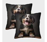 LeHuaiMa 3D Printed Bernese Mountain Dog Square Pillowcases Pet Pillow Case Cushion Decorative Super Soft Pack of 2 for Patio,Couch, Tent, Balcony And Sofa 40x40cm